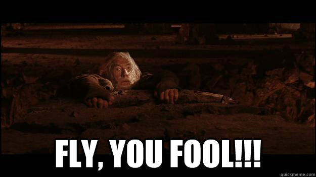 Fly, you fool!
