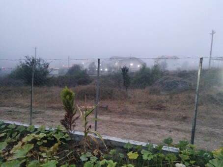 Photography of Nature , The Story of Fog