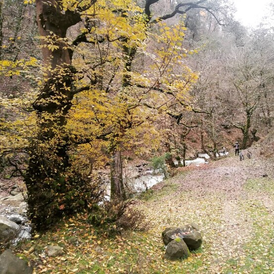 Photography of Nature, river, Real Life story