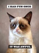 Grumpy Cat