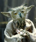 Owl Yoda