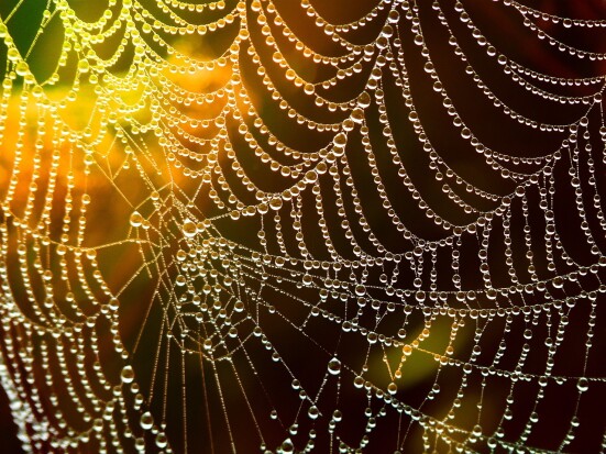 world wide web creators web3