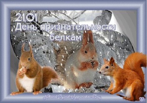 cea28cd2229a541c2e6a37396a350ae224e3b6d1daa73a9f86157ae14293dfcc.jpg