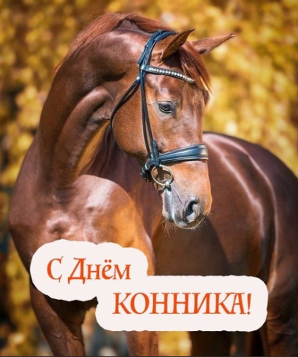 a3306611cf867271ae0672c154d3fcee51aff7abf6afd3e6de4f4c3748e3b17e.png