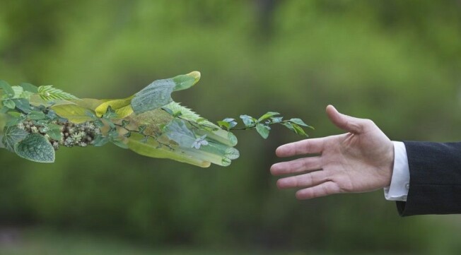 We are facing complicated challenges and they do not compare with what awaits future generations. The problems can only be overcome by people with integrity, knowledge and skills, both manual, intellectual and social.  Now imagine a sustainable planet that is equitable, empathetic, responsible and with a great bond with nature, a sustainable world that can be built with a grain of sand from each one of us, that is the world we want and in which we deserve to live.