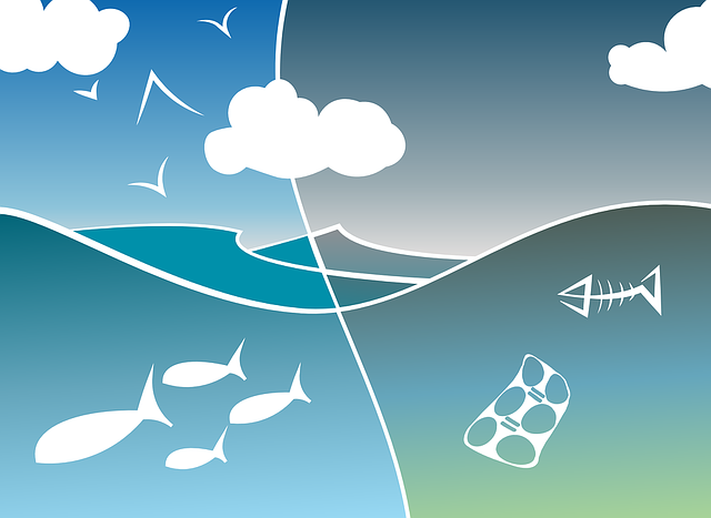 river, lake, ecosystem