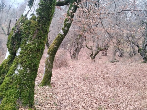 Gilan province, north of Iran, Mountain Climbing