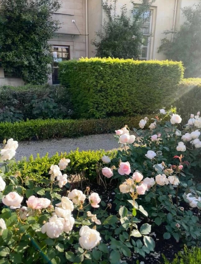 Oxford