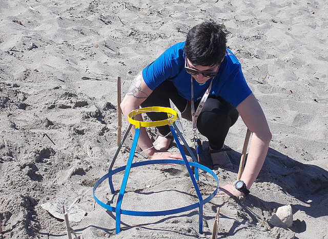 Zakinthos - Sea Turtle protection