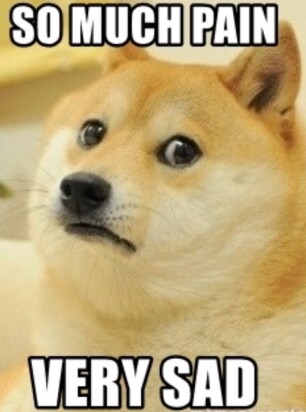 Ouch Dog