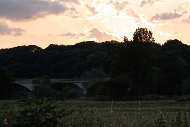Bridge