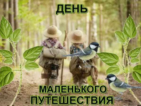 864ca8e4df1e7df15125e8852e7dcd68a336644a9dc59cb32c5e1289fe4a903a.png