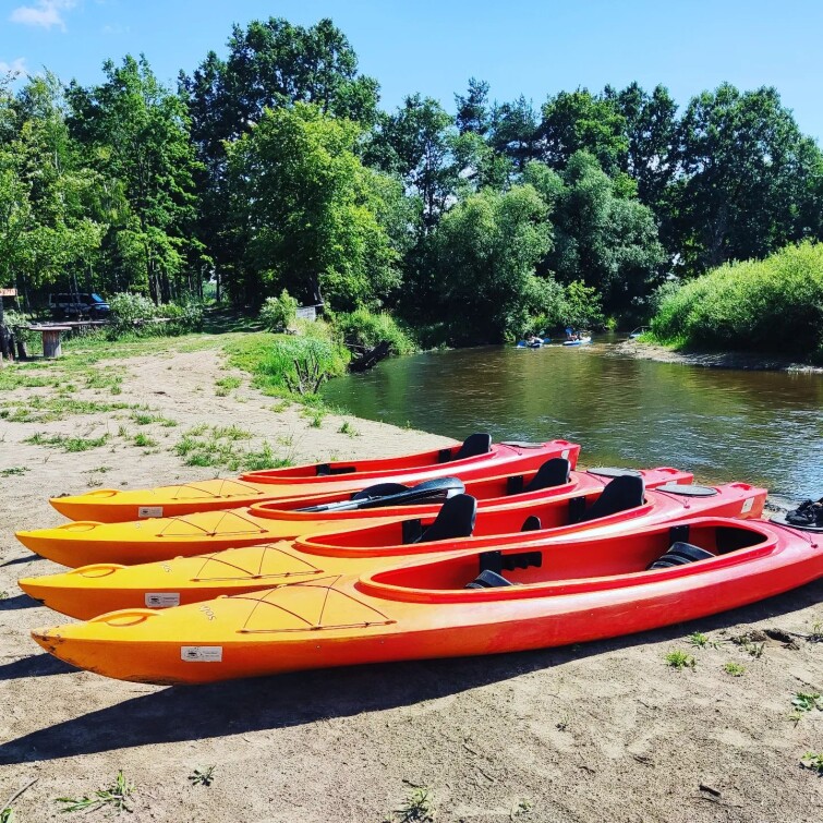 kayak