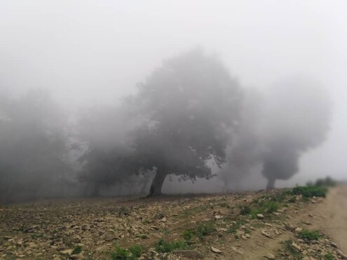 One of The Most Dreamy Routes &amp; Fog | Asalem-Khalkhal |