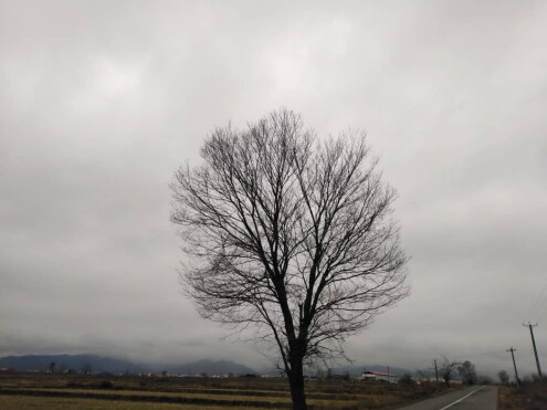 photography of nature , the story of everything