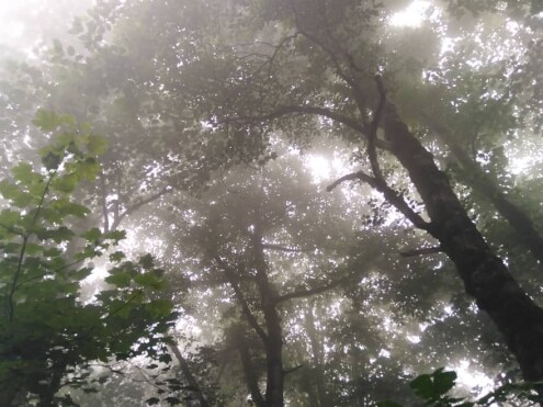 One of The Most Dreamy Routes &amp; Fog | Asalem-Khalkhal |
