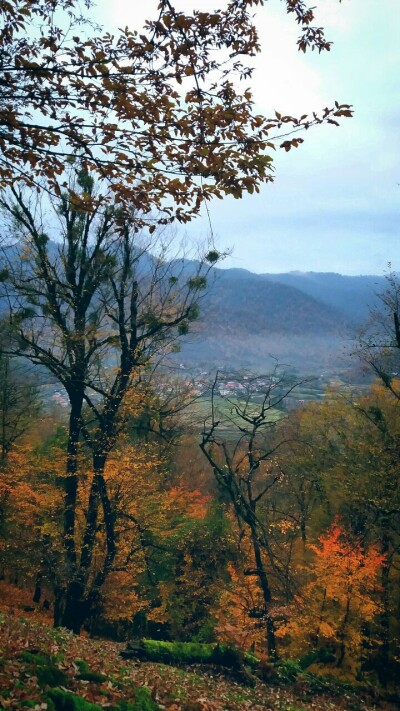 Photography of  Nature, autumn, Real Life story