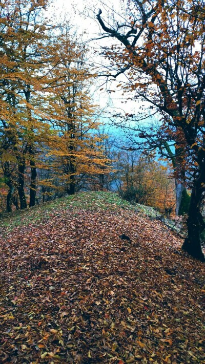Photography of  Nature, autumn, Real Life story