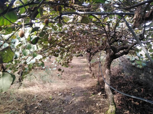 Photography of  Nature, garden, Real Life story
