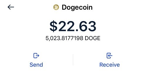 wallet amount