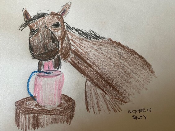Horse licking a giant salt lick - colored pencil