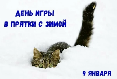 8c92756a00fa0e578b0887cf2192c688bace9a474383c018d58894237f3f7154.jpg