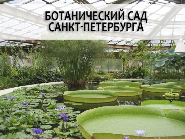 52240734da951b996d4ec18527fa8517673d652616652e2d2411fb1281c3e3d9.jpg