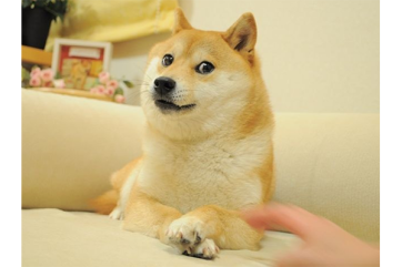 b6b6ca9b81b30b2bb4fb1ba9ac0f944c2e35d7e0afe02df0e813f29d9eaa38cf.png