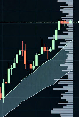 Volume PROFILE