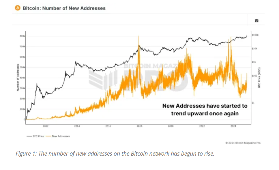 bitcoin wallet addresses