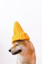 ce79ad916e81039bd37f80ae00d5cc0ff156147f44fd982a834ce940d128c9d0.jpg