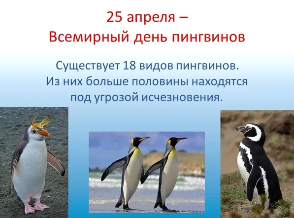 13e9c604581bb96625ada00b9d7b5d4603a7be6c4f371f1eac0ed06ce6265682.png