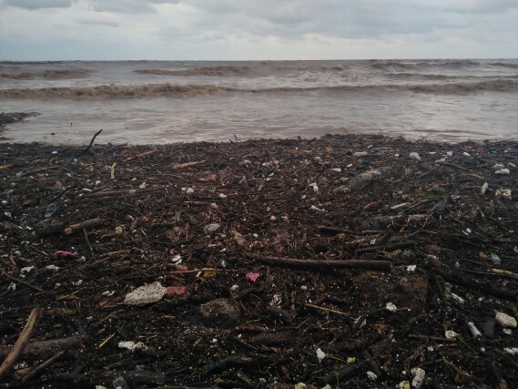 Cycling by The Beach in Iran, flood, nature,