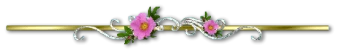 26c39d847d68edb7c0e7c16b1788a32fb3ebebb10dd190e0f9f49be3692cabb3.png