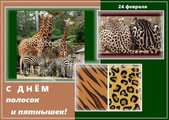 a1d5c12c1eb6dbd48ea394af02cc41db5b0561c891e53fd17aae81ecbe3e848a.jpg