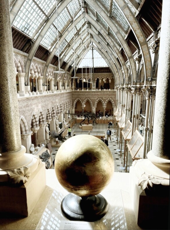 Oxford University Museum of Natural History