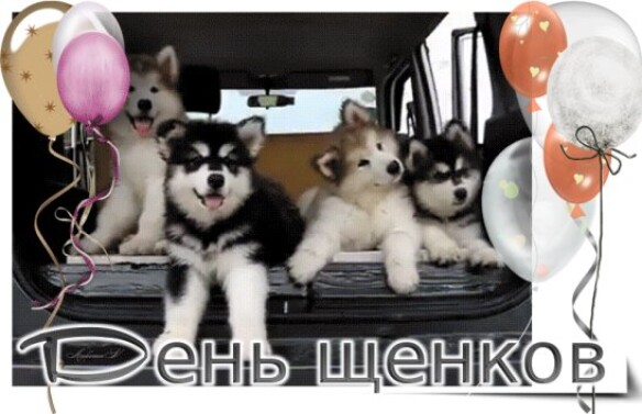 fb2e1766e8d9c8d95a769d303dc4a100d00d563f58349a72e390716f0d35540f.jpg