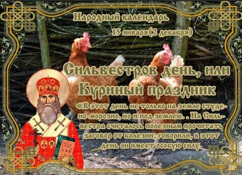 9bc06696eb607b4cd9bb2cdfd5704dd35fa066b38fbdb71e01a9dd97a91c463b.jpg