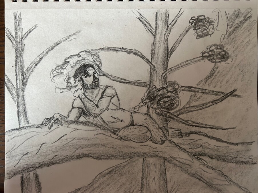 Man reclining on large tree branch -  pencil sketch