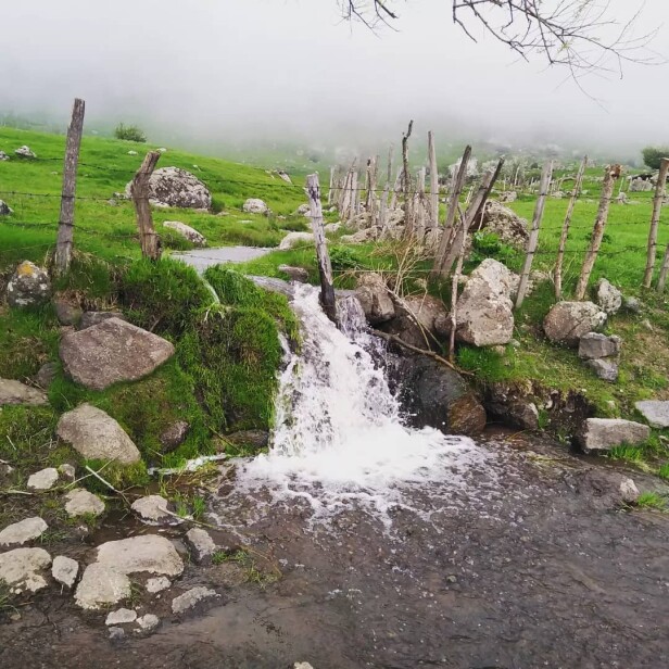 The Lush Mountains in The Outset of Spring | Iran