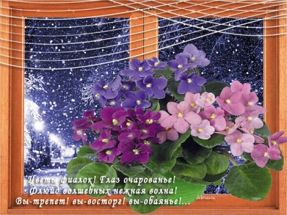 1a5a35a40ad20904321dc01addad92c0abe4eff65e7eb5750014b30781e97432.jpg