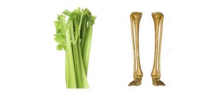 celery