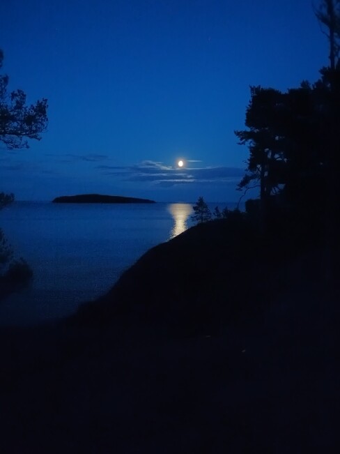 Evening