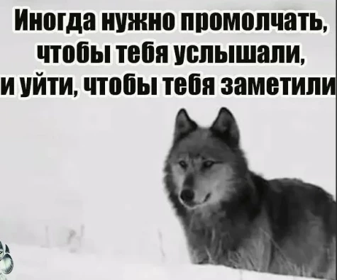 b0d1e34bfb1344f49537adcee2567dc44a5fdbeaa64fee7a9d1979cfadeaa71f.jpg