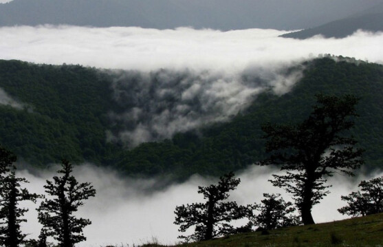  Oh, my heart! |Lareh Folk Song of Mazandaran Province!