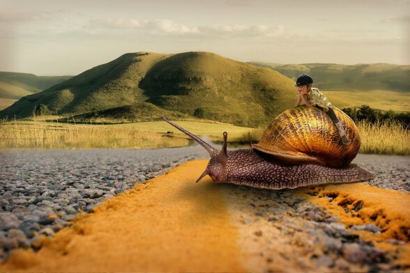 a tiny girl riding a snail while crossing a road
