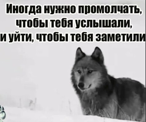 b0d1e34bfb1344f49537adcee2567dc44a5fdbeaa64fee7a9d1979cfadeaa71f.jpg