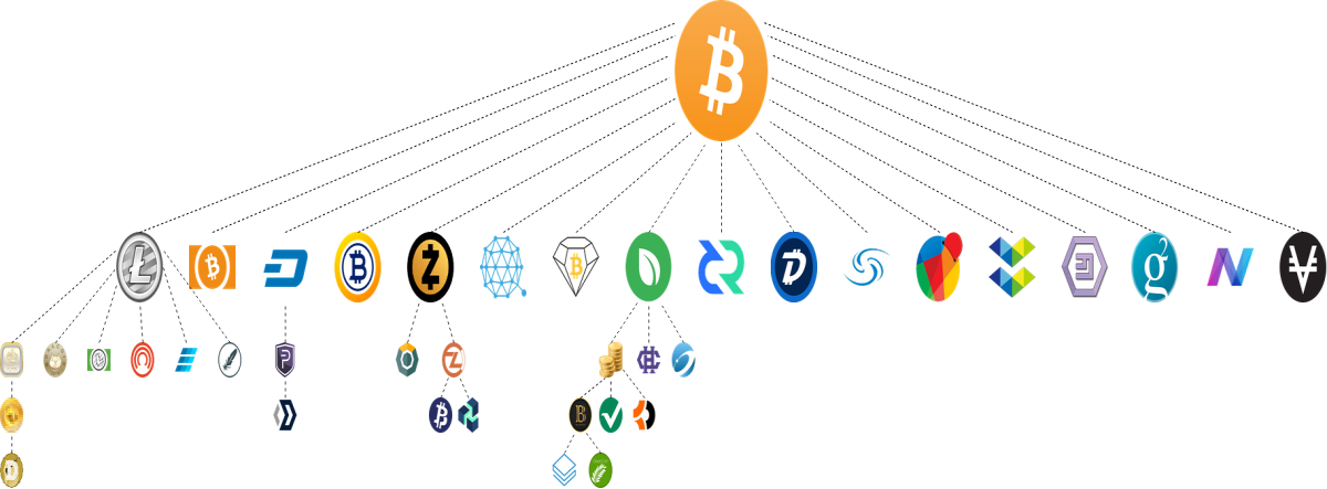 The copy Coins of Bitcoin and recopy of them