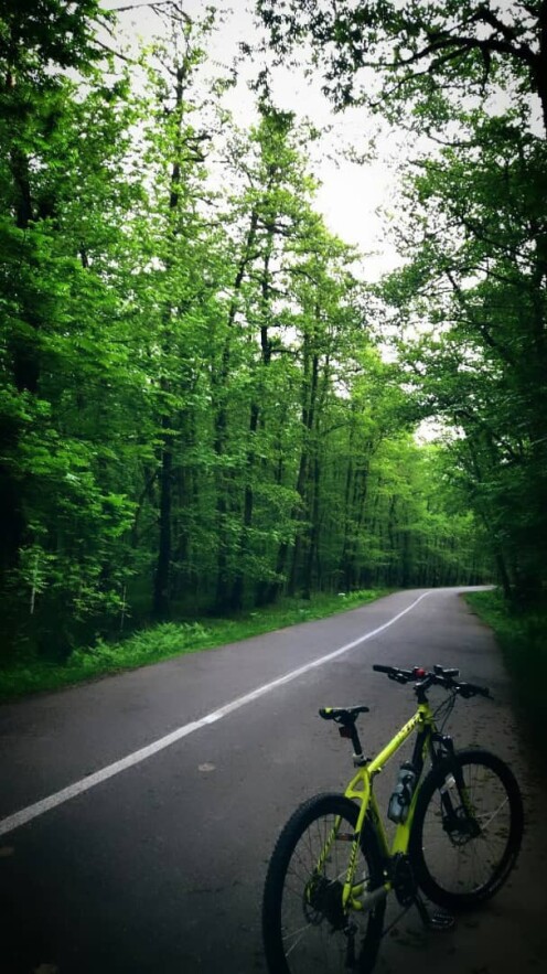 Cycling And Discovering A New Village Deep in The Forest