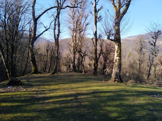 Dangerous Turns, Steep Route &amp; Gorgeous Nature Even in Winter